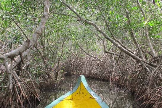 Mandinga Boat Trip from Veracruz - Book Online at Civitatis.com