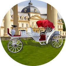 Victoria Horse Carriages - Elegant ...