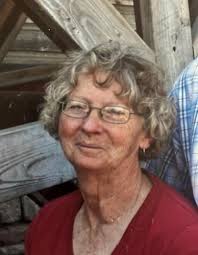 Lynne Davis Whipple Obituary (2024)