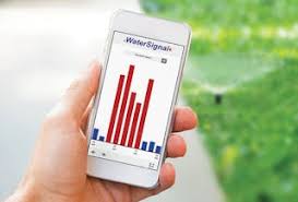 The Evolution of Listening