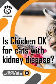 Is Chicken Ok For Cats With Kidney Disease In 2020 Kidney Disease Cat Kidney Kidney Disease Diet