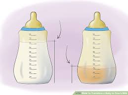 How To Transition A Baby To Cows Milk With Pictures Wikihow