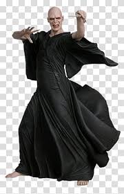 He is the eldest of six children. Lord Voldemort Transparent Background Png Cliparts Free Download Hiclipart
