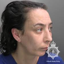 Couple jailed after allowing their dog to bite a child