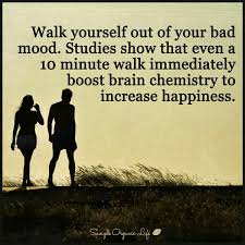 Image result for positive healthy living quotes