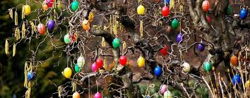 Sie werden mit bunten bändchen geliefert und sind einfach anzubringen. Der Ostereierbaum Bedeutung Und Tradition Baumpflegeportal