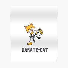The history and types of karate. Karate Cat Posters Redbubble