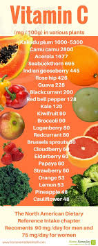 25 Foods High In Vitamin C Tomato Nutrition Vitamins Healthy