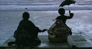 Posted on 7 septembre 2018 de pierre cléon / 2 commentaires. Les Plus Belles Palmes D Or La Lecon De Piano De Jane Campion Lemagducine