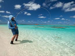 Stick a 4wt line on it and move on with your day. Scott Sector Saltwater Fly Rods Model Reviews And Field Testing