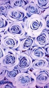 Wallpaper By Artist Unknown In 2020 Flower Background Wallpaper Flower Wallpaper Purple Wallpaper