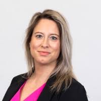 6600+ "Hout -bouwmeister" profiles