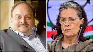 Advocate, gujarat high court member: Rajiv Gandhi Foundation Received Money From Fugitive Mehul Choksi Here Are The Details