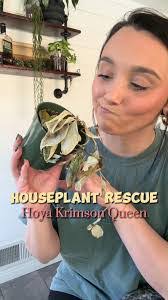 Sarah Plants's Instagram, Twitter & Facebook