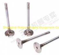 Yuchai engine parts exhaust valve F6000-1003103A - Buy ...