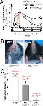 I remember sitting in excruciating pain in a room in the er, in front of a nurse and an ob/gyn, trying not to ugly cry. Antibodies Are Required For Complete Vaccine Induced Protection Against Herpes Simplex Virus 2