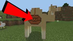 This is a quick & easy tutorial showing where to find cats as well as how to tame a cat in minecraft. Camels In Minecraft Pocket Edition Minecraft Addon Youtube