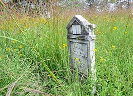 Severe storms leave trail of damage, outages from ohio to new jersey. In Ohio Rare Prairie Plants Survive In Of All Places Cemeteries The Star