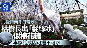 Stand news 立場新聞 today at 10:20 am // …守護堅城聯盟指，化驗結果反映現時泥土狀況，説明公園並不需要除污，亦擔心工程傷及樹木根部，造成不可逆轉的傷害，威脅樹木生命。 åŒ—æ„›çˆ¾è˜­çˆ†é¨·äº‚é€¾40è­¦å¯Ÿå—å‚·è¦ªè‹±æ´¾èˆ‡æ°'æ—æ´¾å°ç«‹åŠ åŠ‡æŽ€ç¤ºå¨ é¦™æ¸¯01 å³æ™‚åœ‹éš›