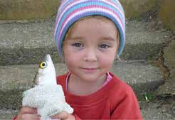 Smashed up concrete from Marsden Refinery import terminal demolition dumped  in Prescott Rd, tip A scene from Ruakākā School'