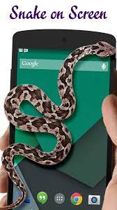 Download the latest version of snake on screen joke scary curling for android. Snake On Screen Hissing For Android Apk Download