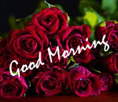 Good morning images with rose flowers hd download. Red Rose Good Morning Picture Hd Download Good Morning Images Morning Pictures Good Morning Picture