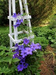 Maybe you would like to learn more about one of these? Creating A Layered Garden Enchanted Gardens