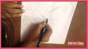 We did not find results for: Hibiscus Flower Drawing How To Draw Hibiscus Flower Easy Flower Drawing For Children By Art Cake