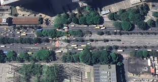 Image result for Tessmannia