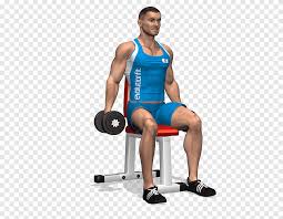 Raise upper arms to sides until slightly bent elbows are shoulder height while maintaining elbows' height above or equal to wrists. Weight Training Front Raise Dumbbell Exercise Rear Delt Raise Shoulder Exercises With Dumbbells Png Pngegg
