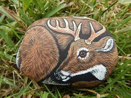 Whitetail Deer Painting Buck Deer Painted Rock Whitetail Deer Painted Rock Art Deer Painting Painted Rock Animals Painted Rocks