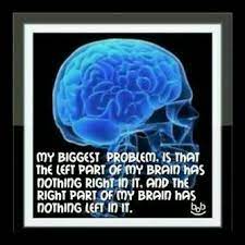 Top 20 Short Funny Sayings About Stupid People And Stupidity