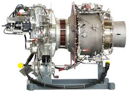 Image result for Turbina longiflora
