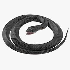 Black Snake Rigged 3d Model Ad Snake Black Model Rigged Black Models Snake Rigs