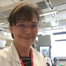 Annabel Mueller-Stierlin (@AnnabelStierlin)