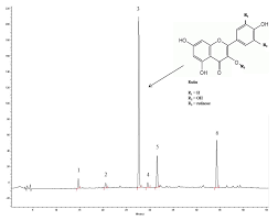 Image result for Nectaropetalum carvalhoi