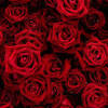 First copy an image you want to use as gamerpic to it. 3