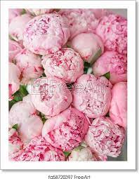 Free Art Print Of Beautiful Bouquet Of Pink Peonies Floral Composition Daylight Wallpaper Lovely Flowers In Glass Vase Pink Peonies Flowers Peonies Bouquet