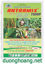 Antramix 700WP