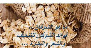 الشوفان stuffed mushrooms vegetables food