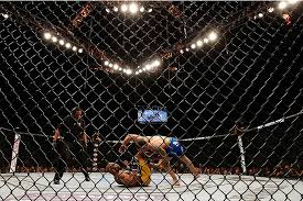 While weidman has become a ufc star after taking the belt from anderson silva, he says he couldn't. Video Confira O Video Da Lesao E As Fotos Da Luta Entre Anderson Silva E Chris Weidman Ii Clube Da Luta