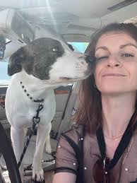 Looking for a Loving Foster Home for My Dog Billy (Paid, LA-Based)