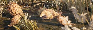 See more ideas about pangolin, pangolin art, drawings. Ashes Of Creation Previews Its Cute Pangolin Esque Creature The Quarrior Massively Overpowered