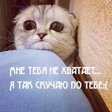 я очень сильно по тебе скучаю думаю о тебе постоянно Ty Moe Sokrovishe Moe Zolotce Moya Sladkaya I Nezhnaya Devochka Bezumno Skuchayu Po Tebe Spasibo Chto Ty Est V Moej Zhizni Ya Ochen Silno Lyublyu Tebya