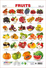 Amazon Com Spectrum Pre School Kids Learning Laminated Educational Fruits Name Wall Chart Office Products English Food Vegetable Chart Fruit Names