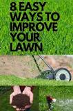 Image result for how to get grass like a golf green