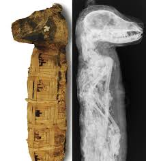 Image result for jonathon keats