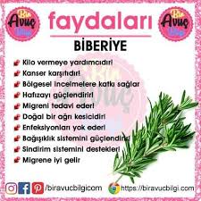 la tahzen innallahe meane t adli kullanicinin bitkisel cozumler herbal treatment panosundaki pin saglikli yasam saglik bakim dogal saglik