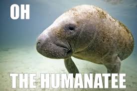 17 Animal Memes That Will Make Every Pun Lover S Day Animal Puns Funny Animal Puns Funny Puns