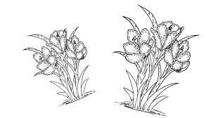 الدرس 5 تعلم الرسم باقة زهور lesson 5 learn drawing bouquet flo hand art art moose art